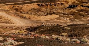 21点什么时候要牌（二十一点何时选择要牌）